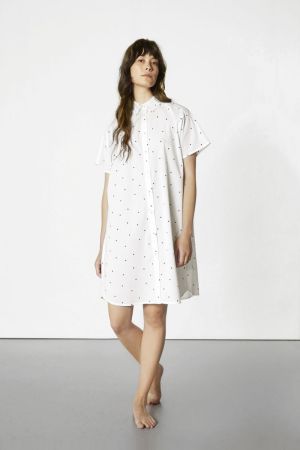  Dot